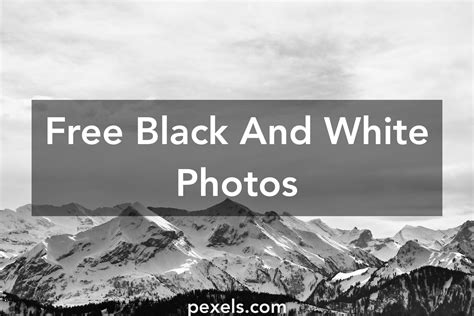 Free Stock Photos Of Black And White · Pexels