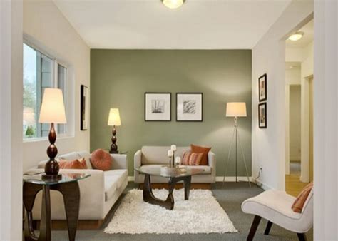 Living Room Paint Ideas With The Proper Color Decoration