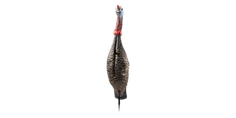 Flextone Funky Chicken Gen 2 Turkey Decoy Flxdy330 Dunns Sporting Goods