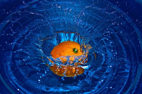 Free Photo Orange Falling Water Fruits Splashing Splashes Blue