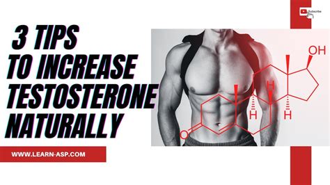 How To Increase Your Testosterone Levels Naturally 3 Tips Youtube