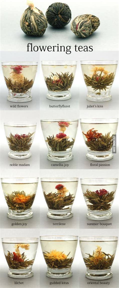 Flowering Teas Flower Tea Tea Recipes Tea Time