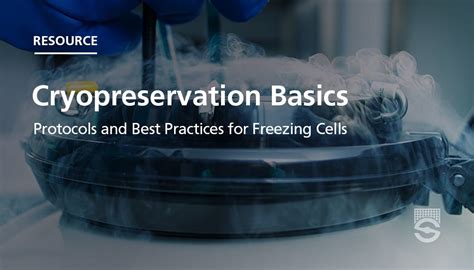 Cryopreservation Basics Protocols And Best Practices For Freezing Cells Cryopreservation And