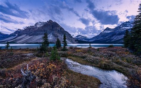 Mountains Trees Bow Lake Alberta Canada Banff National Park