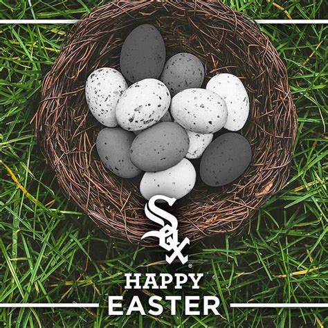 “happy Easter Sox Fans” Chicago White Sox White Sock Happy Easter