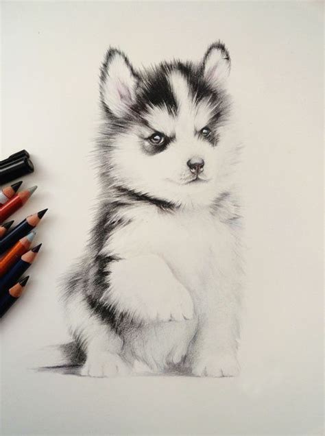 Pin By Leo On Ceramic Animal Drawings Cute Animal Drawings