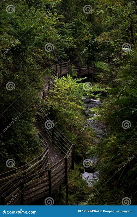Waterfall Trail Glenariff Forest Park Northern Ireland Stock Photo
