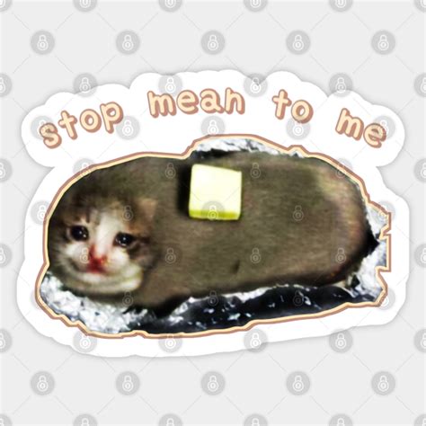 Stop Mean To Me 3 Starring Crying Cat Baked Potato Wholesome Cat