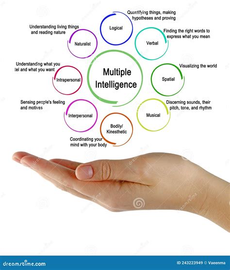 Types Of Multiple Intelligence Stock Image Image Of Multiple