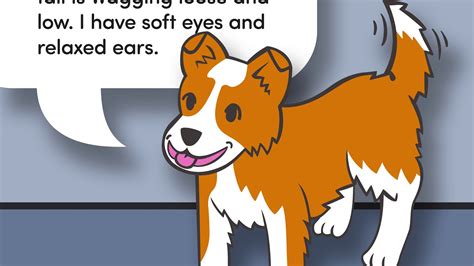 Dog Body Language Happy And Playful Youtube