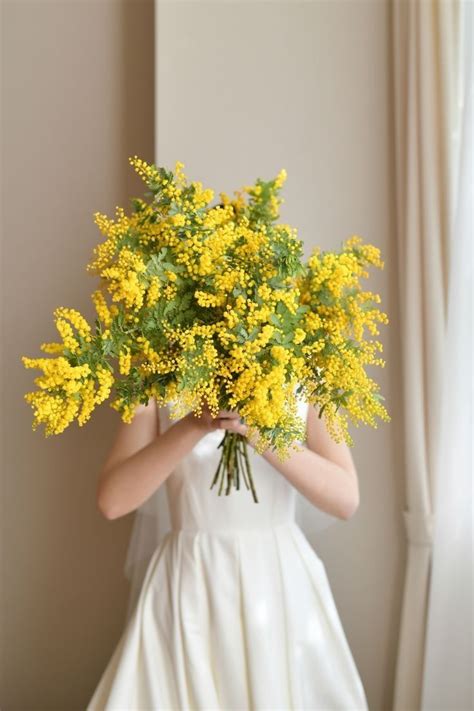 Tulipani, gerbere, lisianthus, aspidistria, solidago, foglie di eucalipto e. Pin di La figlia dei fiori su Mimosa / Woman day ...