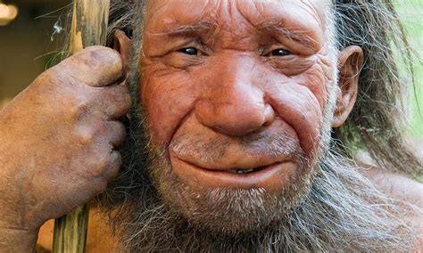 European Neanderthals Were Almost Extinct Long Before Humans Showed Up According To Dna Evidence