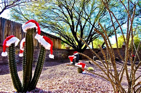 Christmas In The Desert The Tale Of Two Tingsthe Tale Of Two Tings