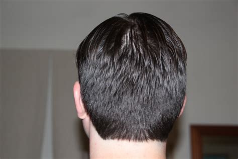 Mens Hairstyles Rear View 2016 Hairstyles