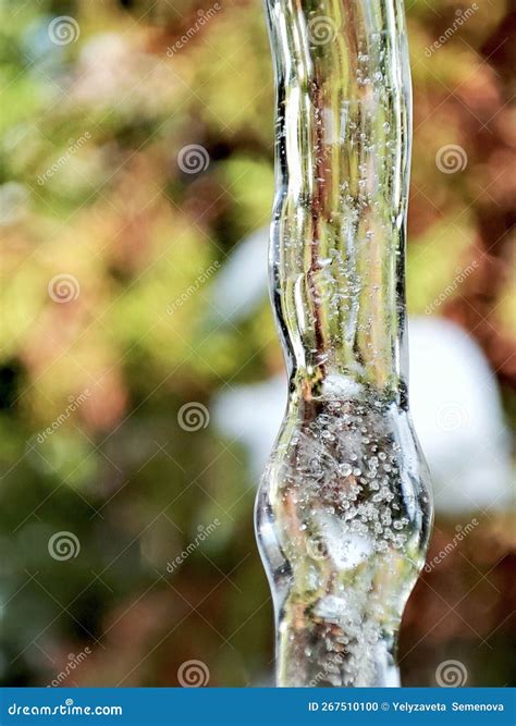 Icicles And A Drop Of Melt Water Close Up Stock Photo Image Of