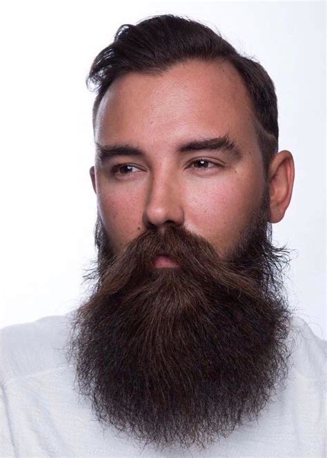 Pin By Carlos Dovvas On Beard And Barba Hipster Beard Long Beard Styles Beard Hairstyle
