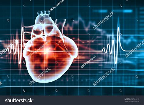 Virtual Image Of Human Heart With Cardiogram Stock Photo