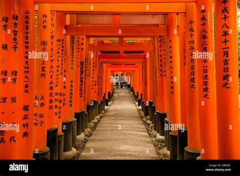 The Endless Red Gates Torii Of Kyoto S Fushimi Inari Shrine Kyoto