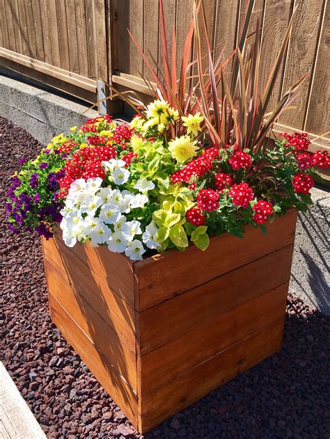 Cedar Planter Box | Diy cedar planter box, Cedar planter box, Planter boxes