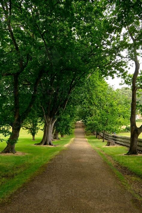 Image Of Tree Lined Path In Port Arthur Historic Site Austockphoto