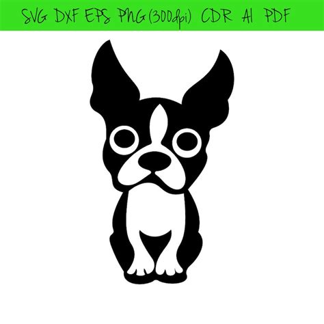 Boston Terrier Graphics Dog SVG Dxf EPS Png Cdr Ai Pdf Vector - Etsy