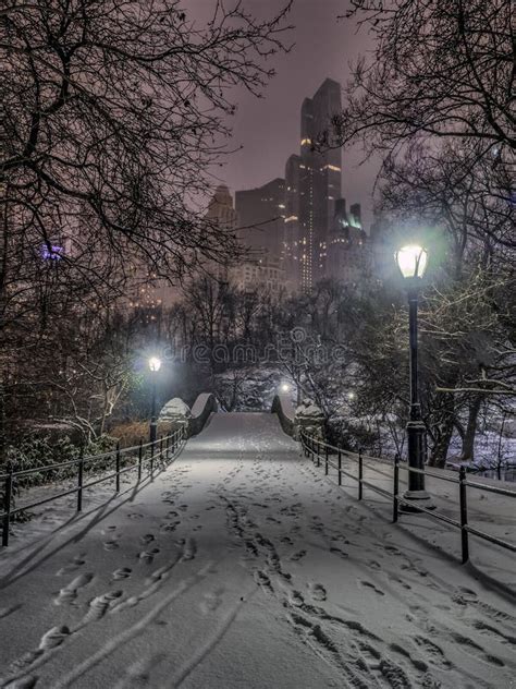 879 City Park Night Snow Storm Photos Free And Royalty Free Stock