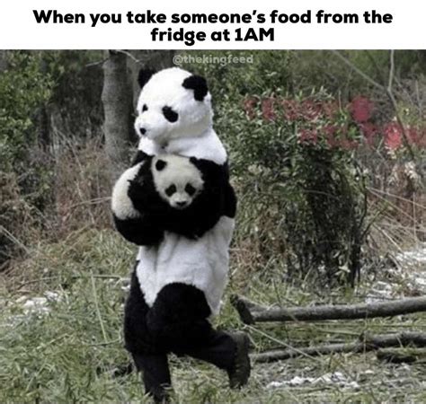 7 Hilarious Panda Memes Thatll Make You Lol Wizard Services