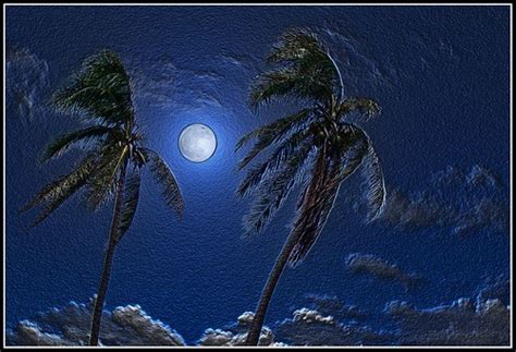 Paradise Moon Jerry Wood Flickr