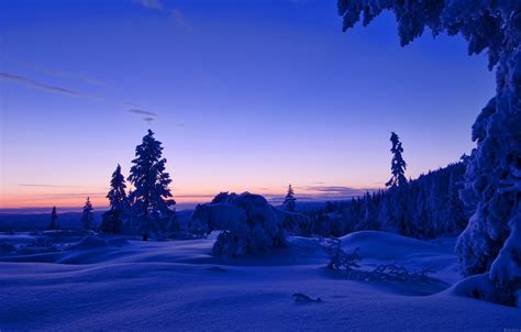 Wallpaper Winter Forest The Sky Clouds Snow Trees Sunset The