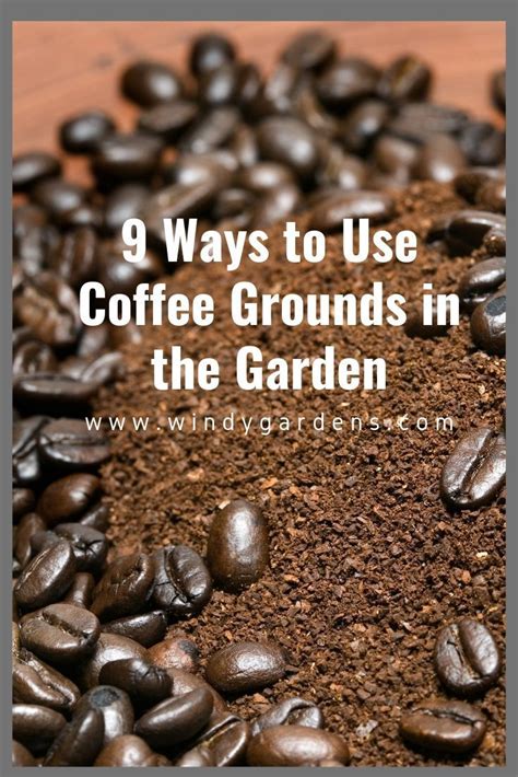 Garden soil is simply too heavy, making you can actually make your own potting soil by combining various ingredients together. We love our morning cup of coffee! Did you know you can ...