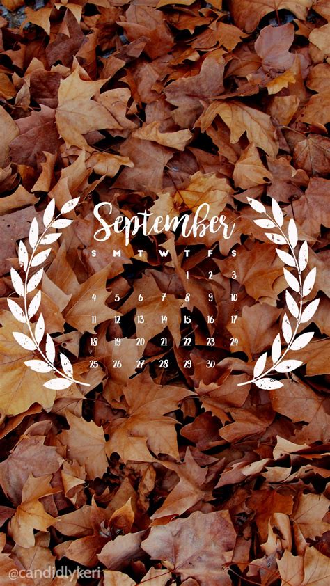 Pinterest Jaidyngrace Fall Leaf September Calendar 2016 Wallpaper You