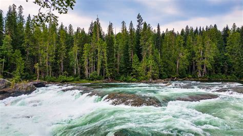 Green Mountain River Forest Pine Tree Nature Landscape Hd Wallpapers