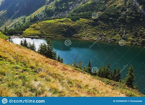 Glittering Surface From A Blue Mountain Lake In Austria Stock Image