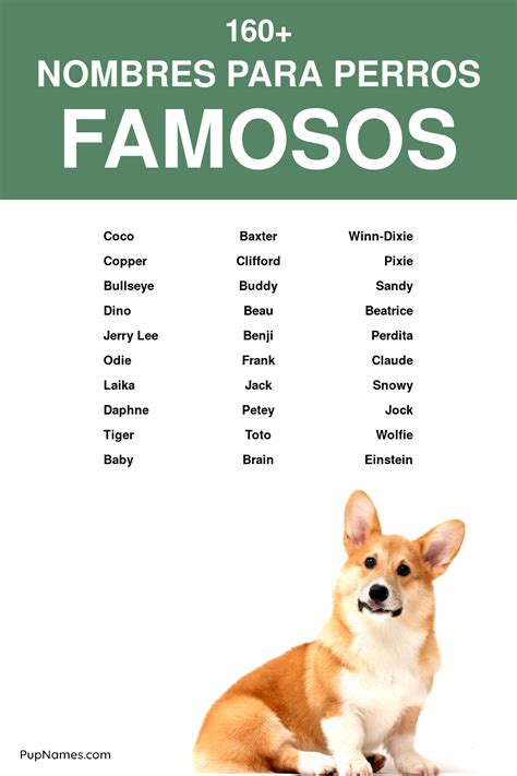 160 Nombres Famosos Para Perros Con Significados Nombres De Perros