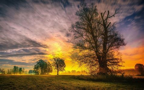 1920x1200 Spring Trees And Sunset 1200p Wallpaper Hd Nature 4k