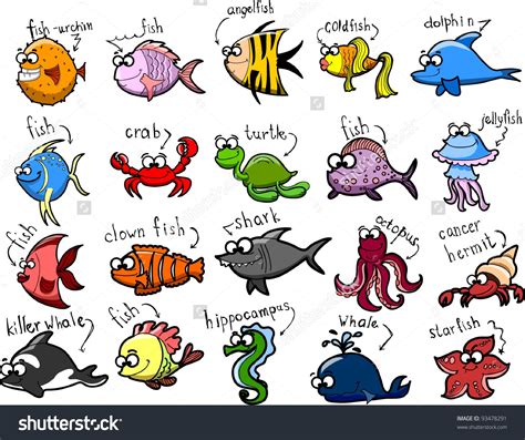 Water Animals Clipart With Names 20 Free Cliparts