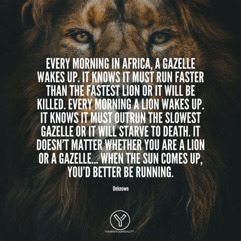 Lion, gazelle, lion or gazelle quote, running, motivation, inspiring, achievement, strength, willpower, discipline, strict, motivational quote. Every morning in Africa, a Gazelle wakes up. | You Are Your Reality