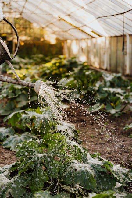 1000 Best Greenhouse Photos · 100 Free Download · Pexels Stock Photos