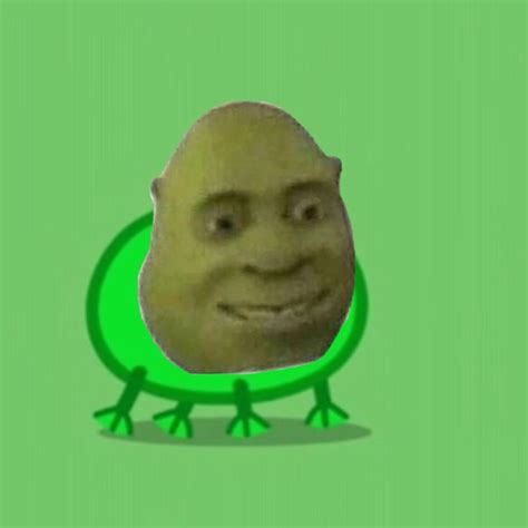 Shrek Froggie Frog Meme Shrek Stupid Funny Memes