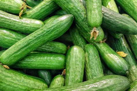How To Store Cucumbers 5 Easy Tricks That Keep Them Fresh For Weeks