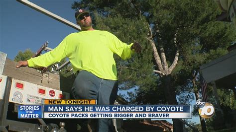 Man Says He Was Charged By Coyote Youtube