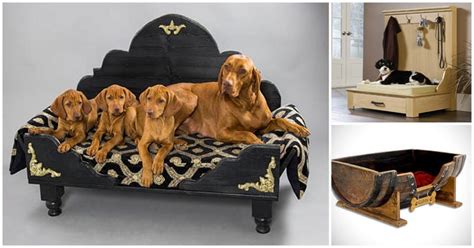 35 Luxurious And Unique Dog Beds For All Dogs