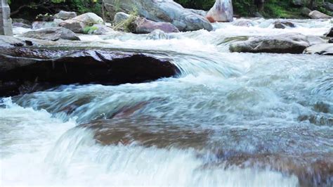 Free Hd Stock Footage Rivers Streams Creek Royalty Freerocky