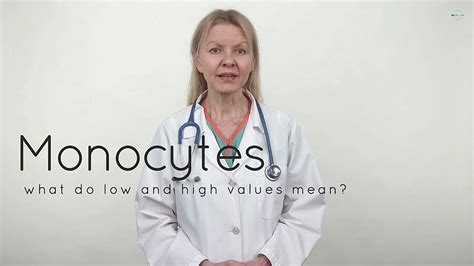 Monocytes Low High Normal Values Functions Youtube