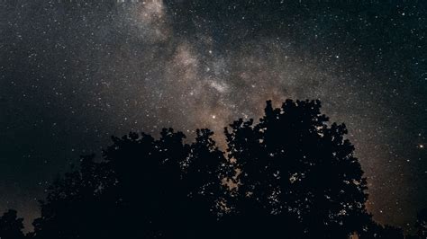 Wallpaper Starry Sky Milky Way Night Trees Stars Hd