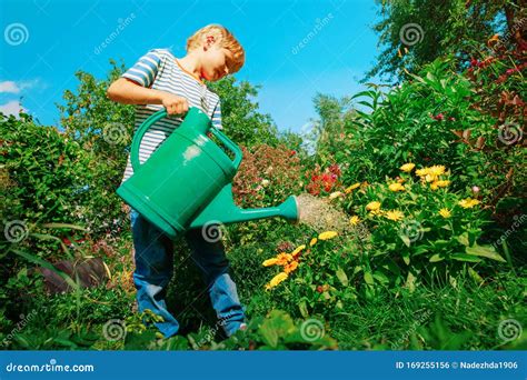 Little Boy Watering Flowers In Garden Stock Photo Image Of Growing