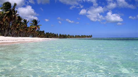 Isla Saona Questisola Della Repubblica Dominicana è Un Vero Paradiso