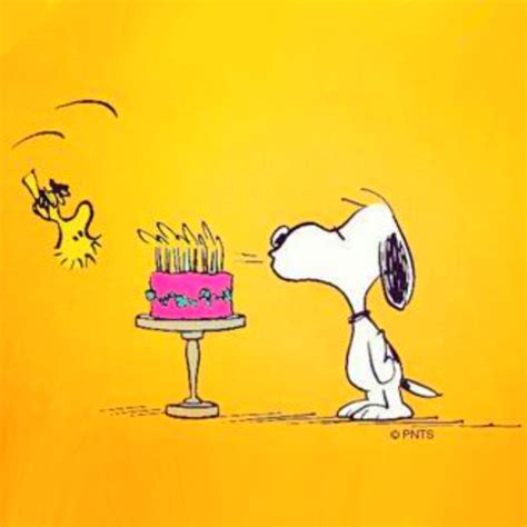 Happy Birthday Snoopy Images Peanuts Happy Birthday Belated Birthday