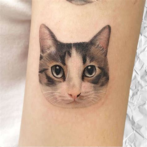 Top Best Small Cat Tattoo Ideas Inspiration Guide