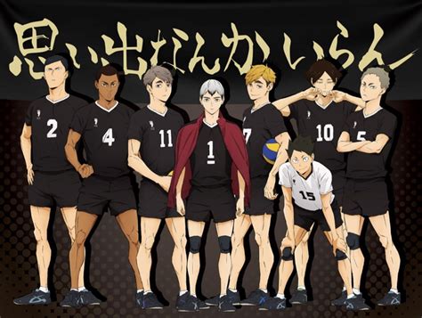 Haikyuu Characters Haikyuu Karasuno Team Volleyball